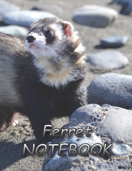 Ferret NOTEBOOK: Notebooks and Journals 110 pages (8.5"x11")