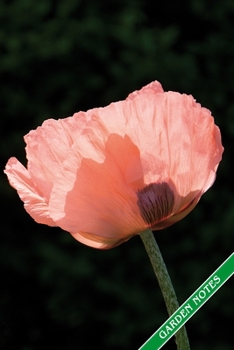 Paperback Garden Notes: Poppy blossom. Format A5, 120 pages, fine grey lined. Journal, diary, notebook and garden planner for everything that Book
