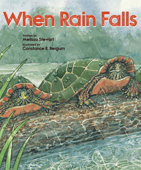 Paperback When Rain Falls Book