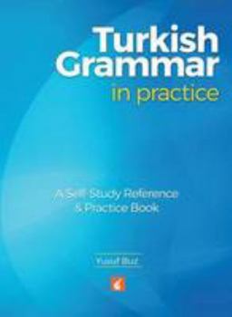 Paperback Turkish Grammar in Practice Book