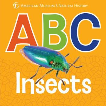 Board book ABC Insects Book