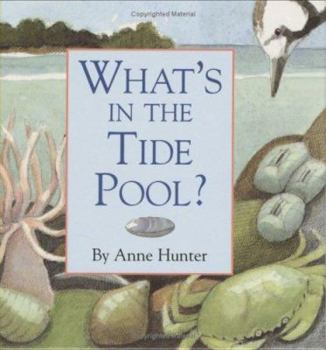 Hardcover What's in the Tide Pool? Book