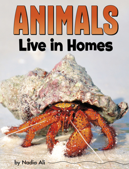 Paperback Animals Live in Homes Book