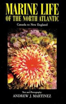 Paperback Marine Life of the North Atlantic: Canada to New England Book