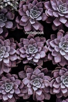 Paperback notebook: purple succulent Book