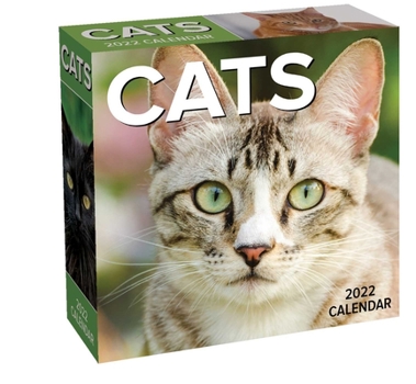 Calendar Cats 2022 Day-To-Day Calendar Book