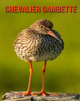 Paperback Chevalier Gambette: Informations Etonnantes & Images [French] Book