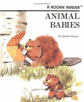 Paperback Animal Babies (Rookie Readers) Book