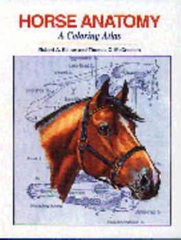 Paperback Horse Anatomy : A Coloring Atlas Book