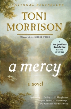 Paperback A Mercy Book