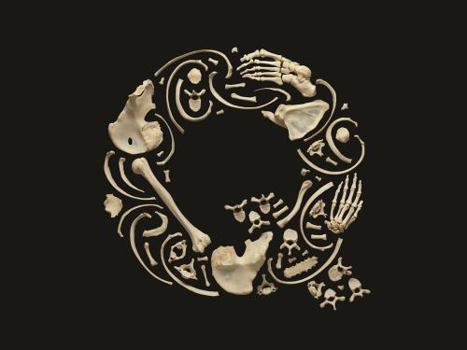 Hardcover Typorama: The Graphic Work of Philippe Apeloig Book