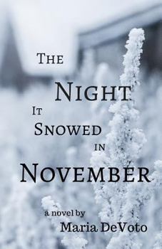 Paperback The Night It Snowed in November Book