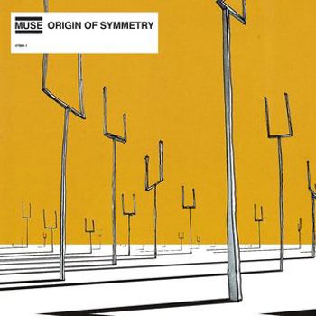 Vinyl Origin of Symmetry Book