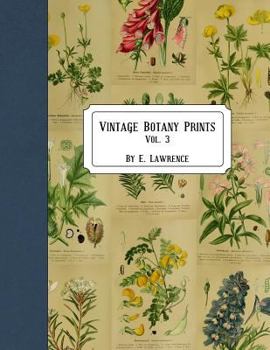 Paperback Vintage Botany Prints: Vol. 3 Book