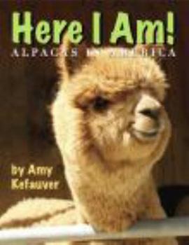 Perfect Paperback Here I Am! Alpacas in America Book