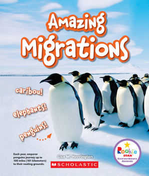 Paperback Amazing Migrations: Caribou! Elephants! Penguins! (Rookie Star: Extraordinary Animals) Book