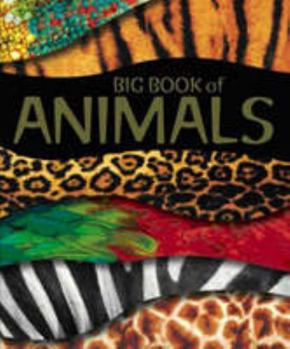 Hardcover Animals Encyclopedia (Encyclopedia 128) Book