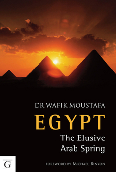 Paperback Egypt: The Elusive Arab Spring Book