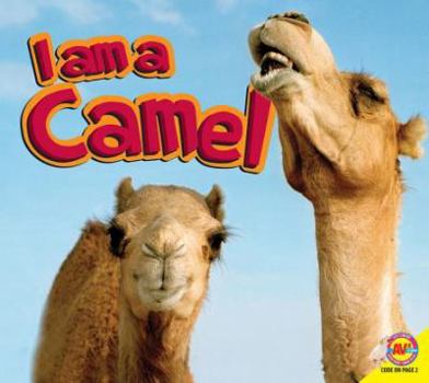 Hardcover Camel Book