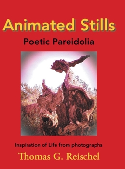Animated Stills : Poetic Pareidolia