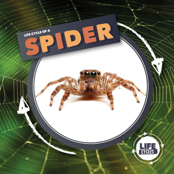 Hardcover Spider (Life Cycles) Book