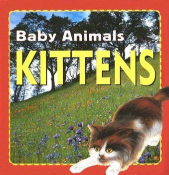 Library Binding Kittens Book