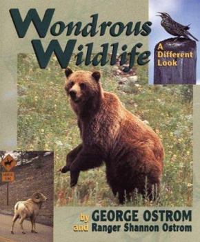 Paperback Wondrous Wildlife Book