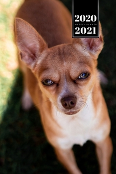 Chihuahua Dog Calendar Week Planner 2020 / 2021 - Very Tired: Pup Puppy Doggie Pet Owner Weekly Bullet Journal Notebook Diary in 6” x 9” Inch Pocket Size