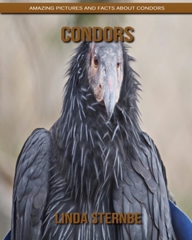Paperback Condors: Amazing Pictures and Facts About Condors Book