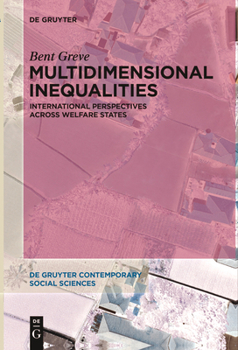 Paperback Multidimensional Inequalities: International Perspectives Across Welfare States Book