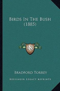 Birds in the bush