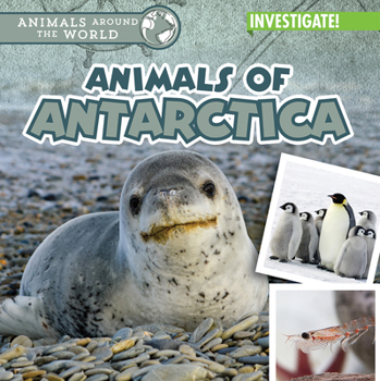 Animals of Antarctica