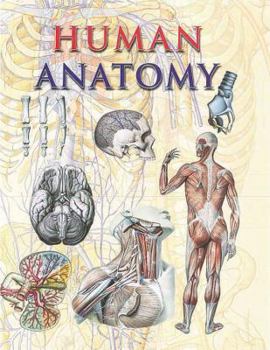 Hardcover Human Anatomy Book