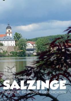 Paperback Salzinge: Komische Thüringer Geschichten [German] Book