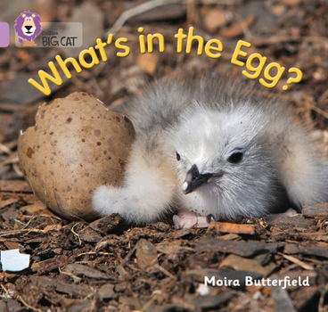 Paperback What's in the Egg?: Band 00/Lilac Book