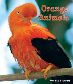 Orange Animals - Book  of the All About a Rainbow of Animals