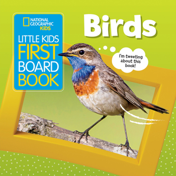 Board book Little Kids First Board Book: Birds Book