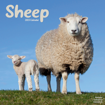 2023 Sheep Wall Calendar
