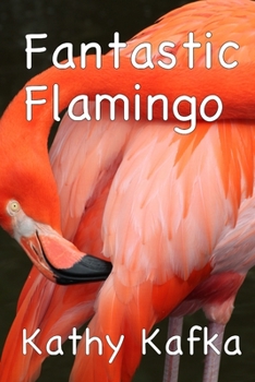Paperback Fantastic Flamingo Book