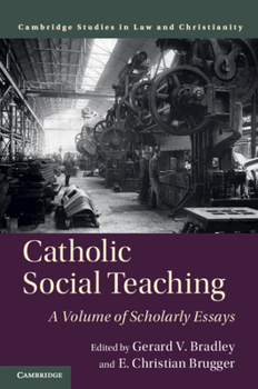 Paperback Catholic Social Teaching Book