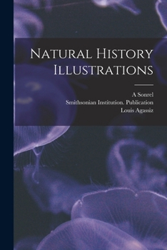 Paperback Natural History Illustrations Book