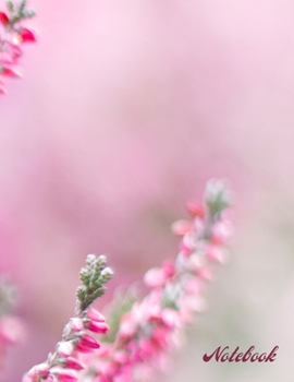 Notebook: Lined Notebook Journal,170 Pages - Large (8.5 x 11 inches)