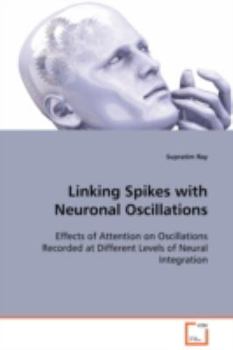 Paperback Linking Spikes with Neuronal Oscillations Book