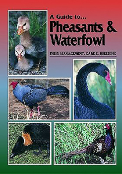 Paperback A Guide to Pheasants and Waterfowl Book