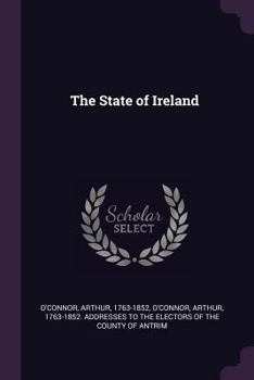 Paperback The State of Ireland Book