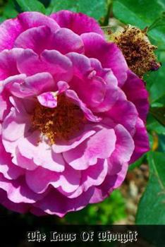 Paperback The Laws Of Thought Formal Logic: A Brief, Comprehensive Treatise On The Laws And Methods Of Correct Thinking Book