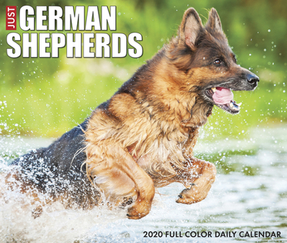 Calendar Just German Shepherds 2020 Box Calendar (Dog Breed Calendar) Book