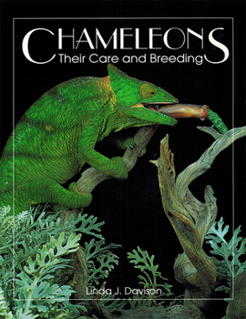 Paperback Chameleons: Their Care and Breeding Book