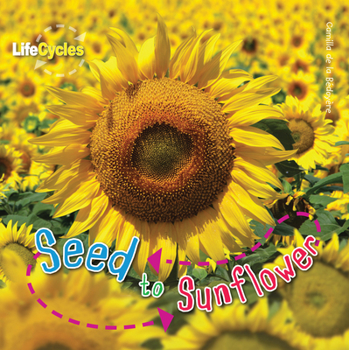 From Seed to Sunflower - Book  of the Lifecycles