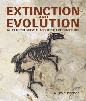 Hardcover Extinction and Evolution: What Fossils Reveal about the History of Life Book